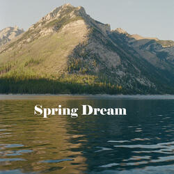 Spring Age For You