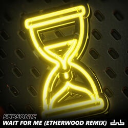 Wait For Me (Etherwood Remix)
