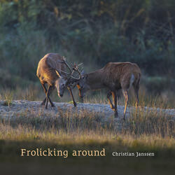 Frolicking around