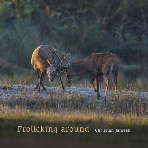 Frolicking around