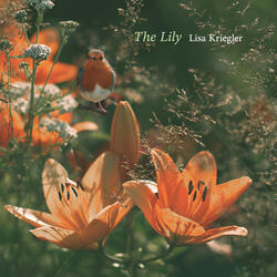 The Lily