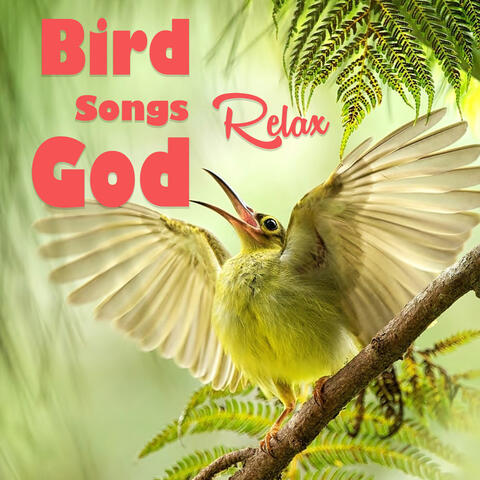 Bird Songs God