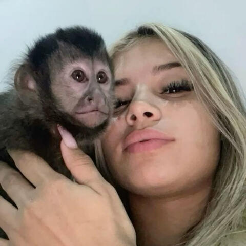 BOTA NA XOTA BOTA X BOTA NA BCT SIM