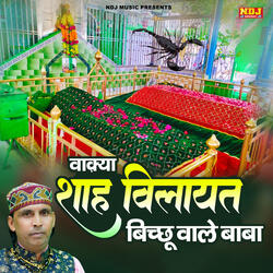 Waqya Shah Wilayat Bichhu Wale Baba