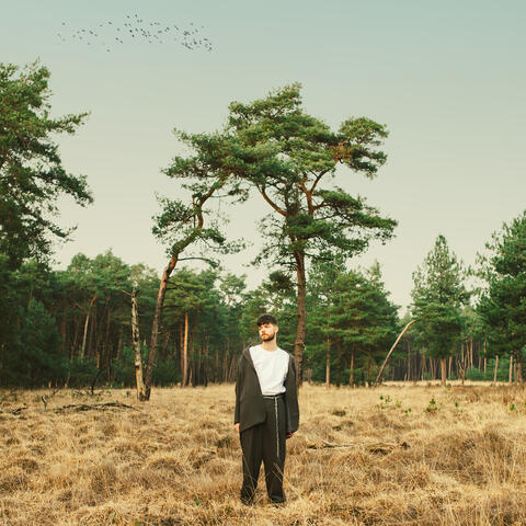 Don't Mind That We're Lonely