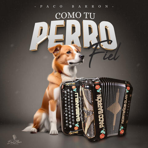 Como Tu Perro Fiel