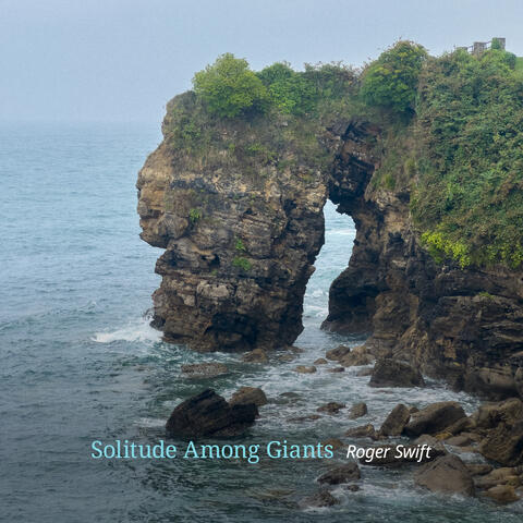 Solitude Among Giants