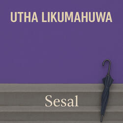 Sesal