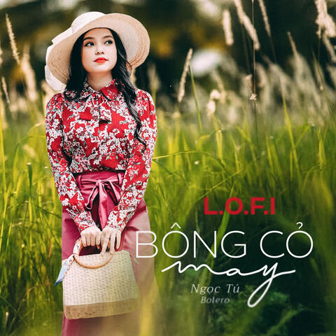 Bông Cỏ May