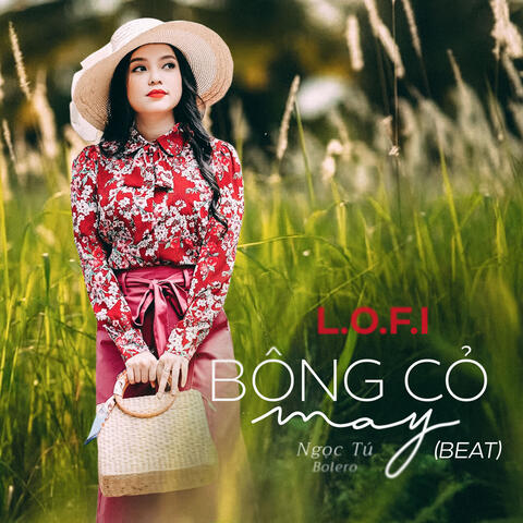 Bông Cỏ May (Beat)