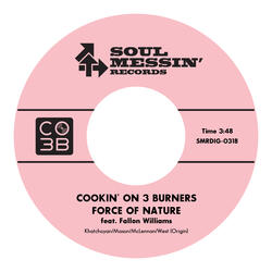 Force of Nature (feat. Fallon Williams)
