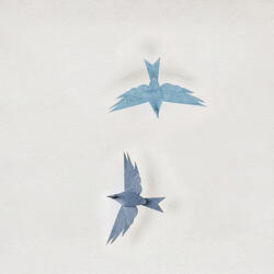 Paper Birds