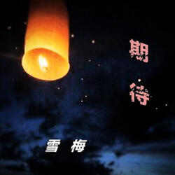 期待不多