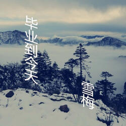 寂寞的夜晚