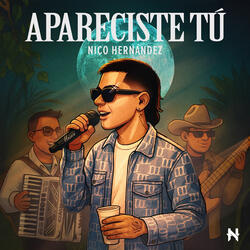 Apareciste Tú