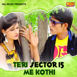 Teri Sector 15 Me Kothi