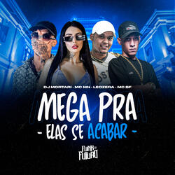 Mega Pra Elas Se Acabar