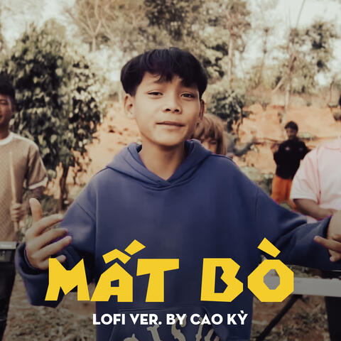 Mất Bò