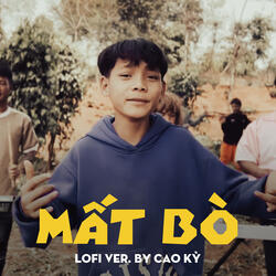 Mất Bò
