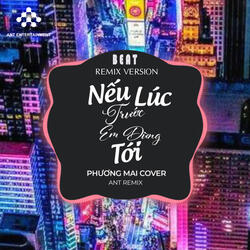Nếu Lúc Trước Em Đừng Tới