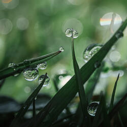 Vibrant Green