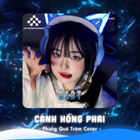 Cánh Hồng Phai