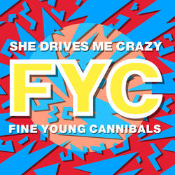 She Drives Me Crazy