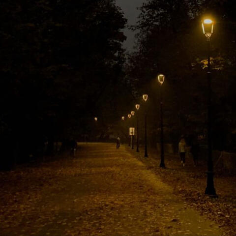 Night Fall