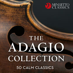 String Quintet in C Major, D. 956: II. Adagio