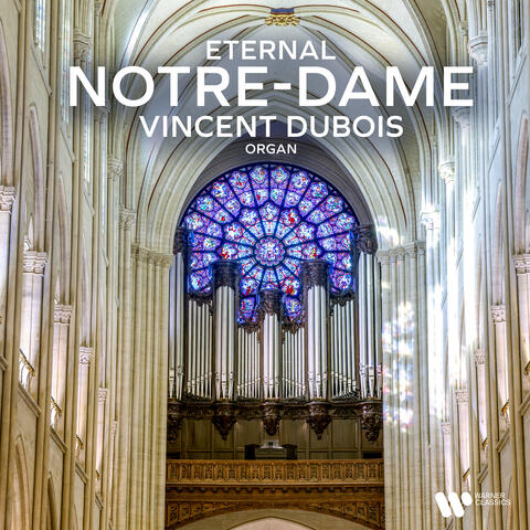 Vincent Dubois