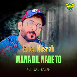 Gulen Nusrah Mana Dil Nabe To