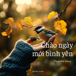 Chào buổi sáng an lành