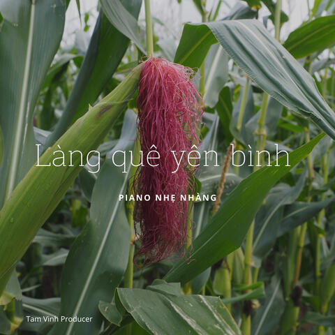 Làng quê yên bình - Piano nhẹ nhàng