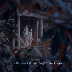 In The Still Of The Night