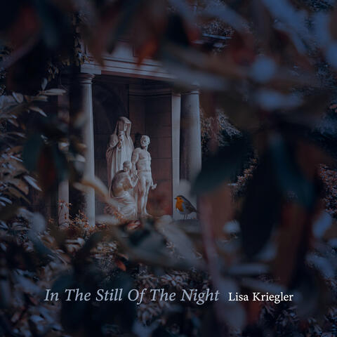 In The Still Of The Night