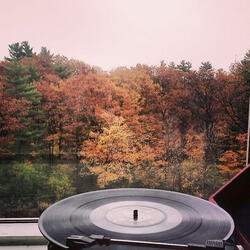 Morning Autumn