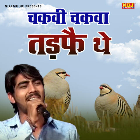 Chakva Chakvi Tadfe The