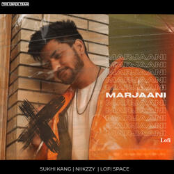 Marjaani (Lofi)