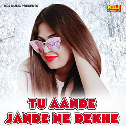 Tu Aande Jande Ne Dekhe