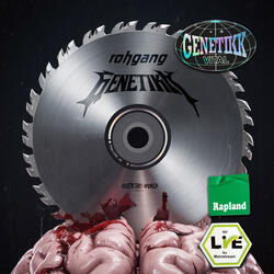 Jung Brutal Gesund (feat. Rohgang)