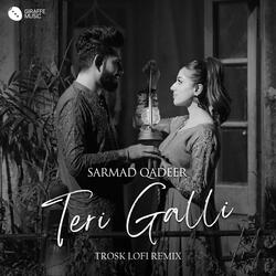 Teri Galli