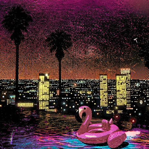 flamingos