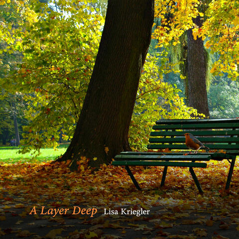 A Layer Deep