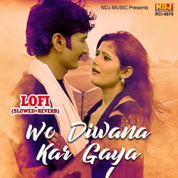 Wo Diwana Kar Gaya Lofi (Slowed + Reverb)