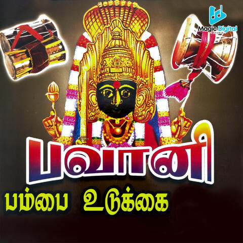 Bavaani Pambai Udukkai