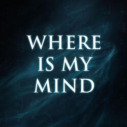 Where Is My Mind