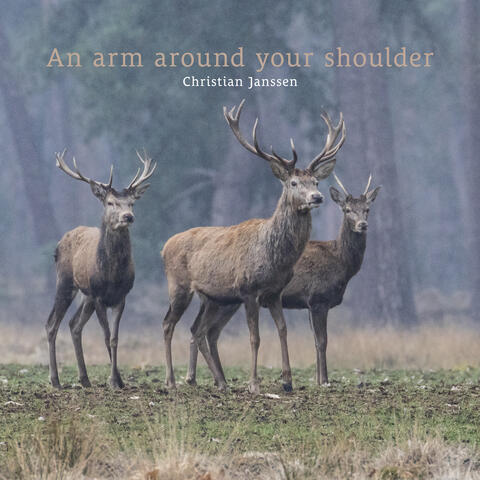 An arm around your shoulder
