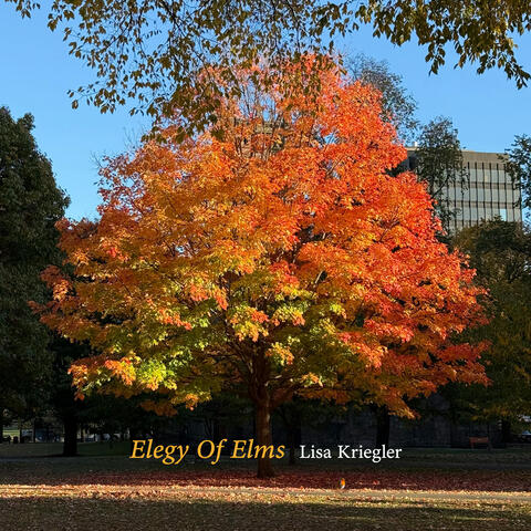 Elegy Of Elms