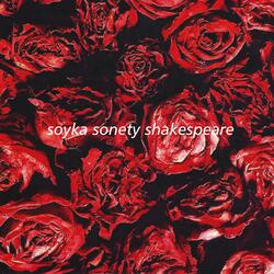 Sonet LVI