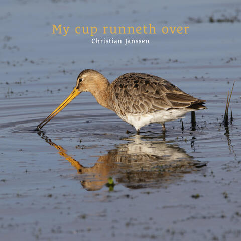 My cup runneth over